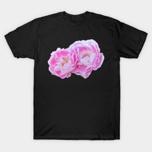 Pink and White Bicolor Roses T-Shirt
